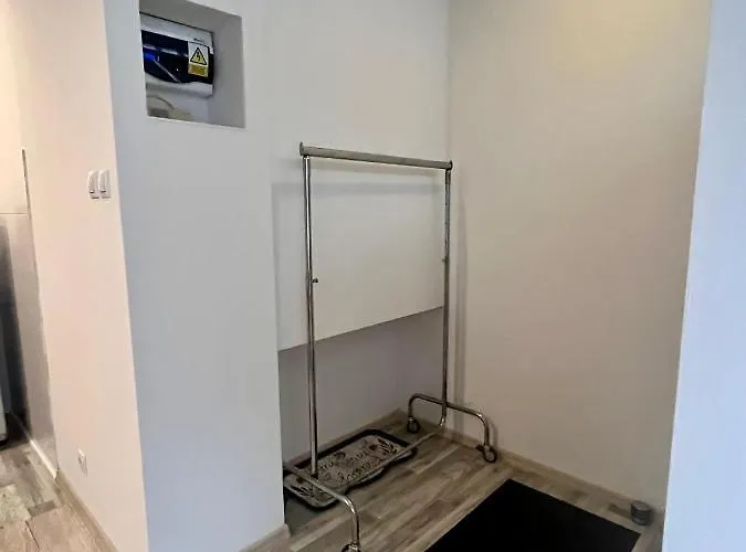 W Poznaniu * פוזנן